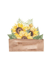 Vintage  wood box with sunflowers. Watercolor hand drawn painting illustration, isolated on white background.