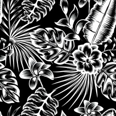 Night exotic jungle illustration with black and white color composition in monochromatic stylish tropical jasmine flowers and plants foliage seamless fabric t-shirt pattern. Exotic tropics. Summer 