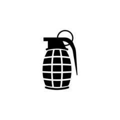 Obraz premium grenade icon, explosion vector, bomb illustration