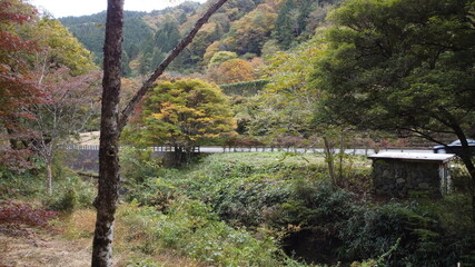 古岩屋　紅葉