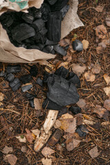 Barbecue charcoal from the package on the ground.