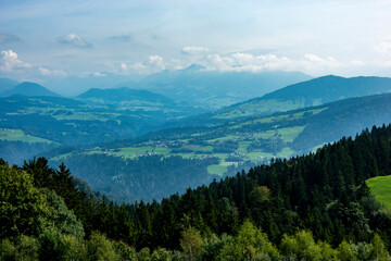 Fototapeta na wymiar Alm in the foothills of the Alps in Vorarlberg, Austria