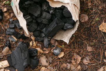 Barbecue charcoal from the package on the ground.
