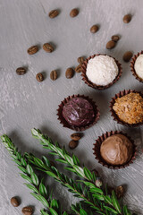 Set of healthy handmade chocolate candies on gray background. Cheese truffles