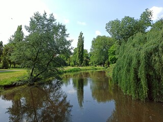 Lake in the park