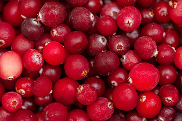 Frozen cranberries close-up. Food background