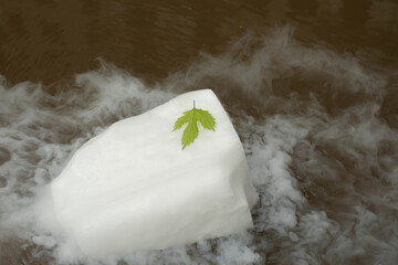 Green leaf on a white ice floe. Leaf and dry ice.