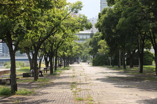 横浜ポートサイド公園の風景