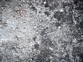 Abstract background. Black and white texture.