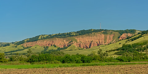 Pink rocks and green trees and shrubs of Rapa Rosie geologic formation, the grand canyon of Romania, under a clear blue sky