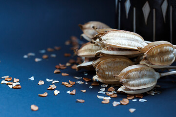bouquet of dried tulips flowers . background. Photo