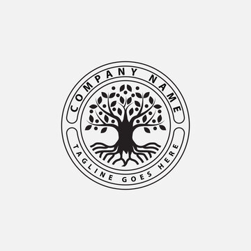 Family Tree of Life seal logo design template