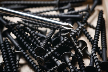 Magnetic screwdriver tip and heap of screws close up background.