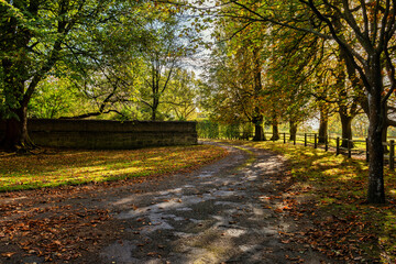 Autumn countryside around Brenchley near Royal Tunbridge Wells in Kent, England