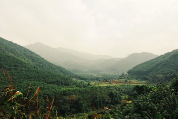 Mountain landscape in a foggy day.