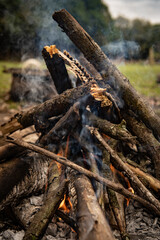 Close-up of a campfire in a meadow surrounded by trees.