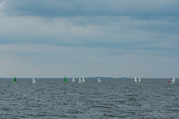 children's sailing regatta on the Volga River
