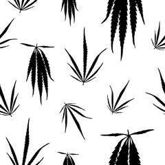 Silhouette leaves of hemp, marijuana, hashish on white background. Marijuana leaf black seamless pattern