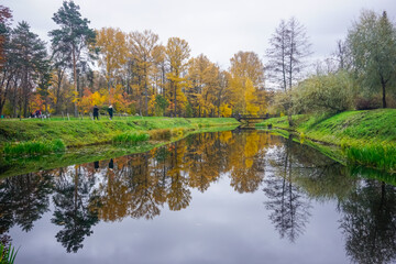 Fototapeta na wymiar Beautiful autumn trees in pond reflection
