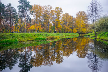 Beautiful autumn trees in pond reflection