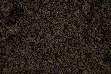 Dark brown texture picture of a dirt with seed all over it