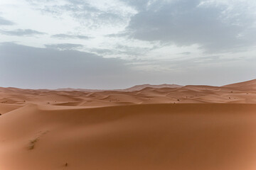 Fototapeta na wymiar Wüstenpanorama in der Sahara