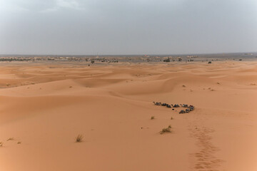 Karawane in der Sahara