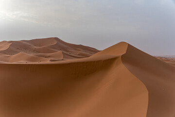 Fototapeta na wymiar Sanddünen in der Sahara