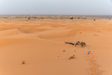 Fototapeta na wymiar Karawane in der Sahara