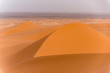 Fototapeta na wymiar Sanddüne in der Sahara bei Errachidia in Marokko