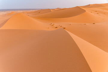 Fototapeta na wymiar Sanddünen in der Sahara