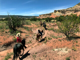 Trail ride through New Mexico. Photo by Sonya Doctorian