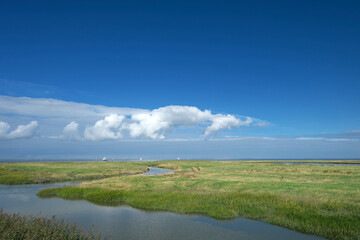 Nationalpark Nieders&auml;chsisches Wattenmeer bei Harlesiel an der Nordseek&uuml;ste und Deichvorland mit Schilf und Priel und Salzwiesen und wei&szlig;e Wolken und blauer Himmel - Stockfoto