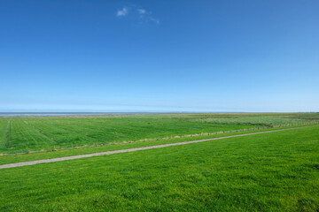 Fototapeta na wymiar Panorama-Foto im Nationalpark Niedersächsisches Wattenmeer bei Harlesiel an der Nordseeküste und Deichvorland mit großem Weidegebiet und blauer Himmel - Stockfoto