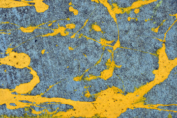 yellow lichen on stone