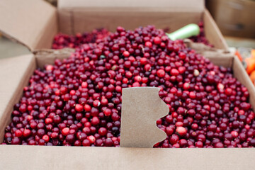 fresh cranberries in a cardboard box at the farmers market with a price tag for your advertisement
