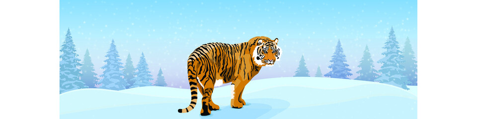 Winter is coming. Tiger walking in the snow. Winter Christmas background with sky, snowfall, snowdrifts. Forest landscape with fir trees, coniferous forest for winter and new year holidays. Vector.