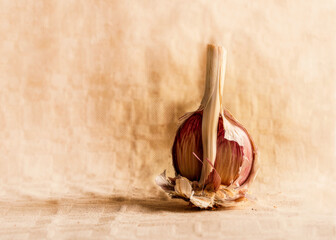 Garlic 04
