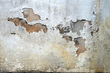 Obraz premium old wall background