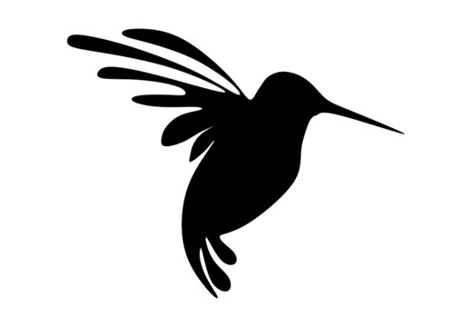 recommend clip art: hummingbird silhouette on a branch