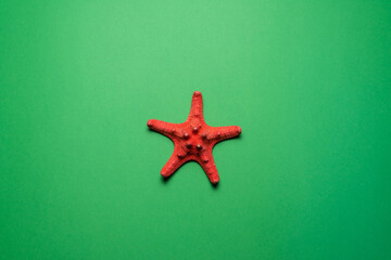 Red starfish on the green background.