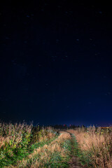 starry night in the field