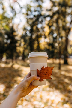 Hand Holding A Reusable Coffee Cup And An Autumn Leaf On Park Background.