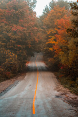 road in autumn forest
