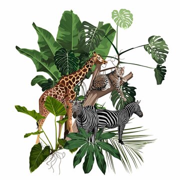Season Abstract Nature Banner Background. Jungle plants, cartoon animals leopard, zebra, giraffe; Exotic card element with tropical leaves.	
