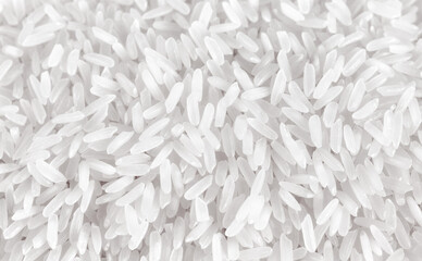 Close up picture of jasmine rice, selective focus.