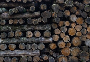 
A stack of sawn firewood stacked in different directions