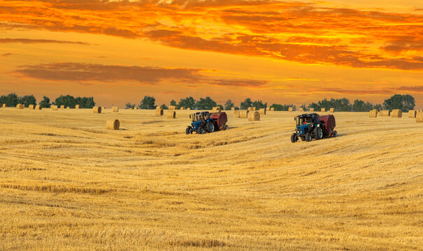 quot Round Baller quot Images Browse 78 Stock Photos Vectors and Video