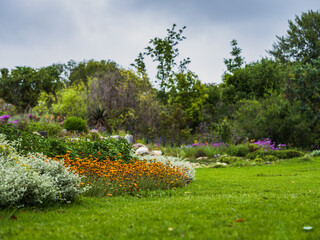Kirstenbosch garden on a cloudy spring day in Cape Town
