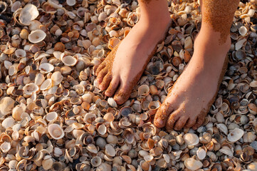 Children's feet, soiled in the sand, stand on the beach with colorful shells in the setting sun
